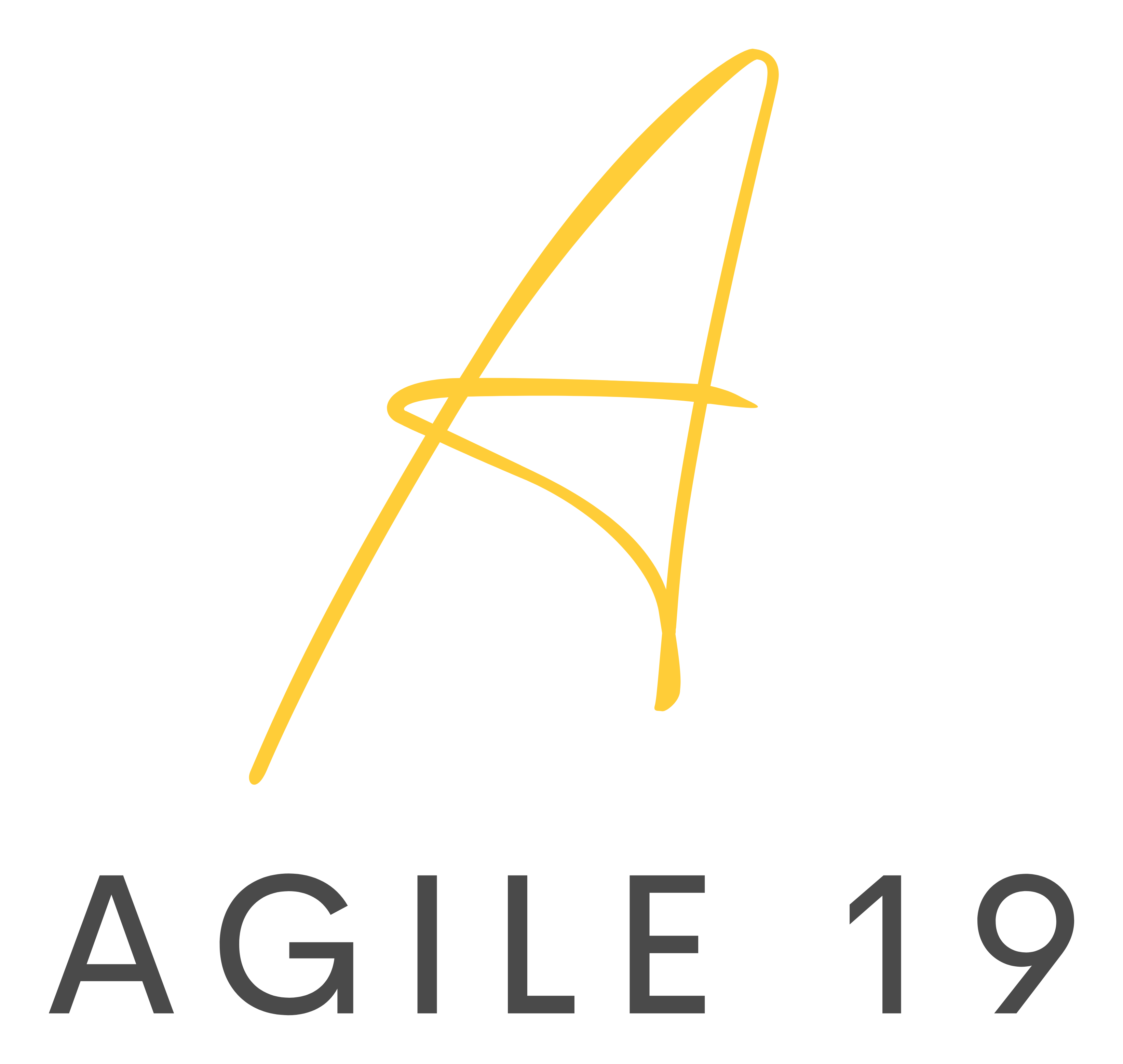 agile19.com